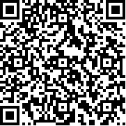 手机扫描进入移动端